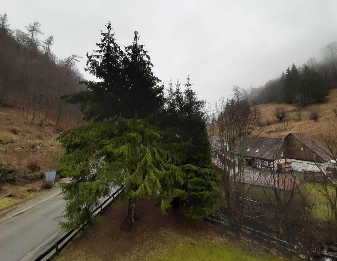 Haus Am Wolfsbach Apartment Zorge Bagian luar foto